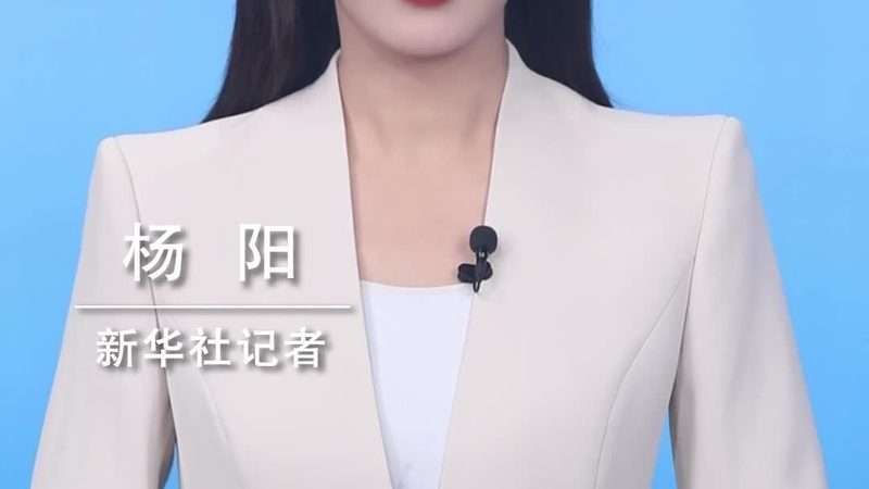 SaaS平台数据安全评估标准：保障企业数据安全的基石